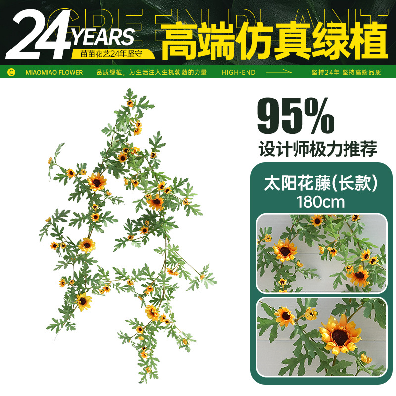 1.8m 해바라기 덩굴