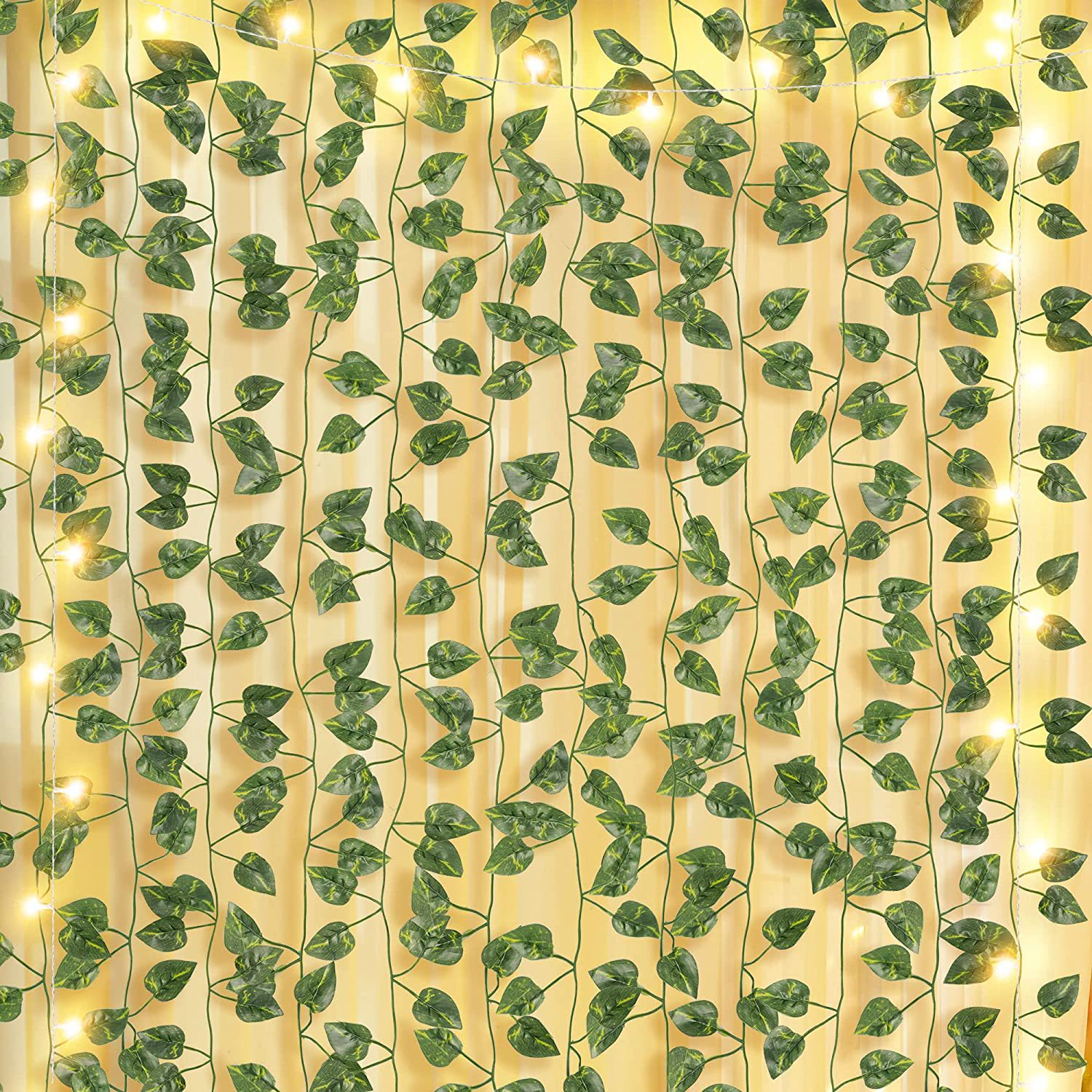 5 m Parthenocissus 50 조명 3 배터리 박스 플래시 (배터리 제외)