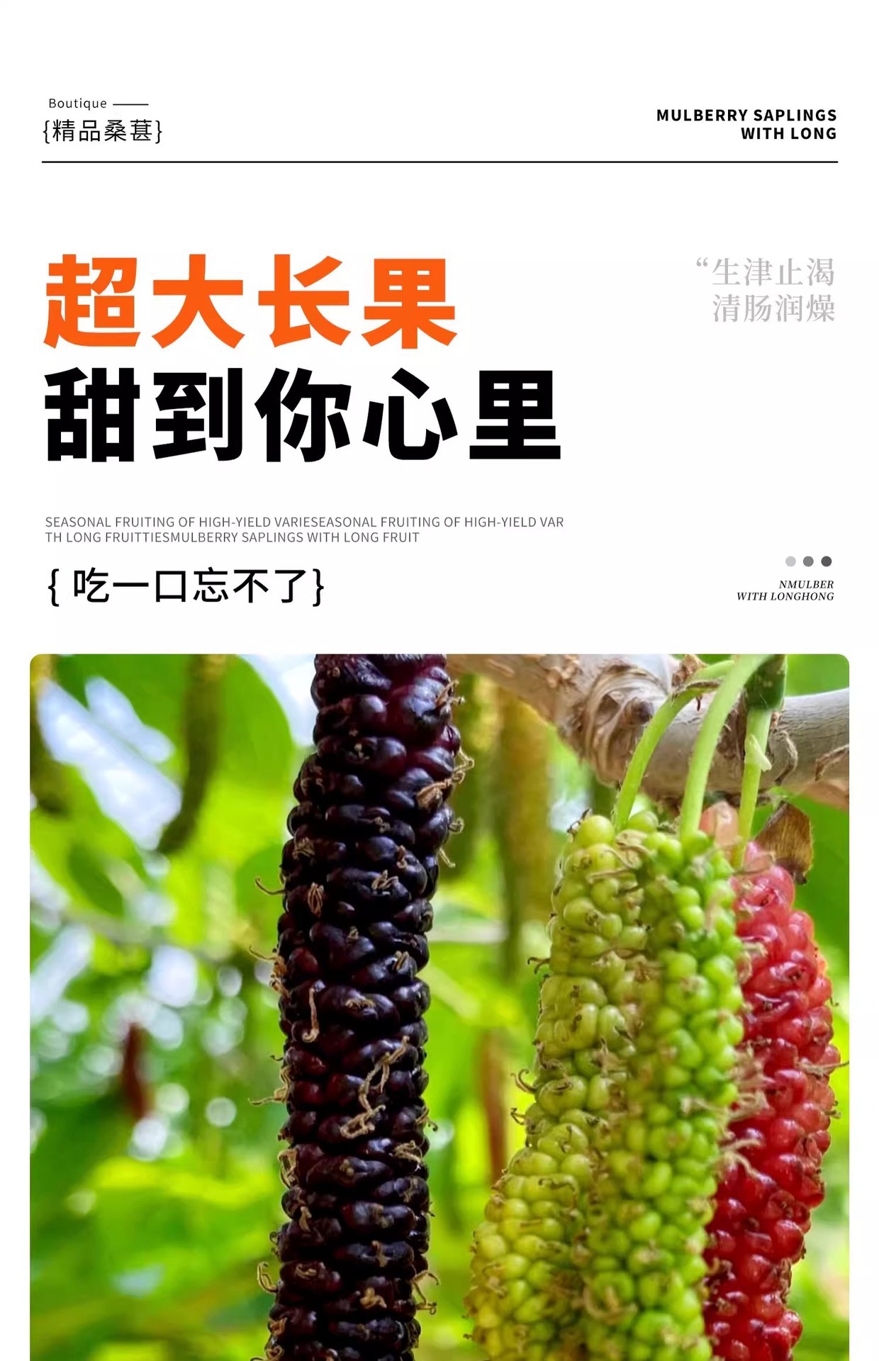 O1CN01r5fnlY1KQs68P5hWz_!!2219532571159-0-cib.jpg?sign=583921_Mzg0OTAxODQ5