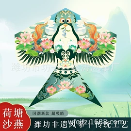 风筝;其他运动休闲
