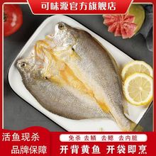 1可味源開背大黃魚免洗醇香鹽鮮黃花魚非純干貨黃魚