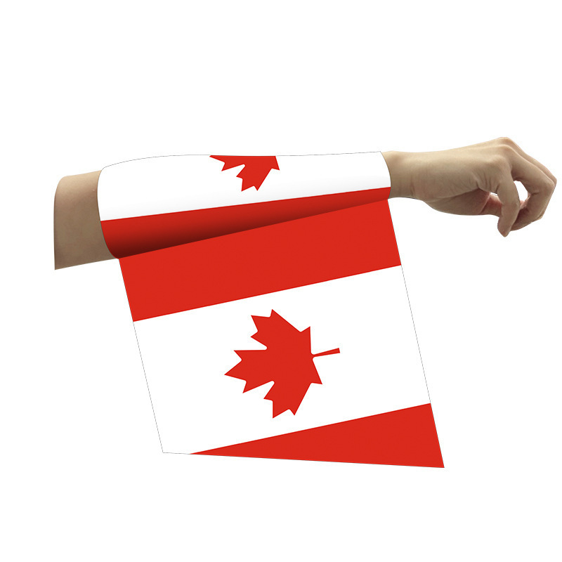 2026 transfronterizos Estados Unidos, Canadá, México, productos de la Copa del Mundo, suministros de fanáticos, productos de animación, bufandas de fútbol, banderas de automóviles personalizadas