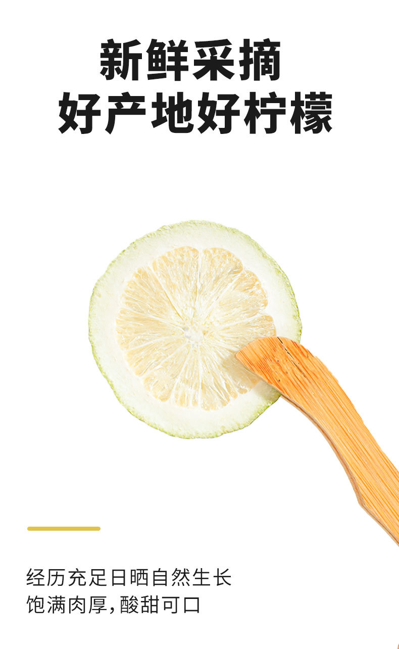 Freeze Dried Fragrant Lemon Slices Xiang Shui Ning Meng Pian 50g Jar No Additives Cold Brew Fruit Tea quality and texture