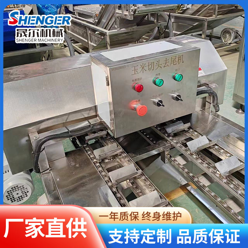 全自动玉米成套流水线 新鲜山药玉米切头去尾机 冷冻玉米切段机