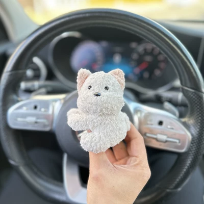Ornaments, Center Console Screen Clip: Car ornaments