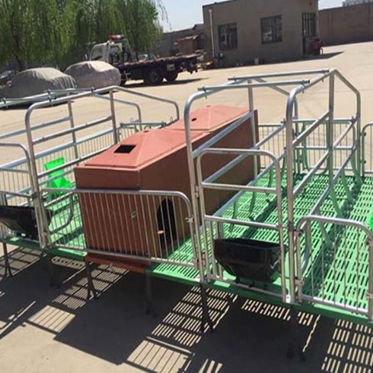 世昌优惠分娩床 复合母猪产床 双体小猪床