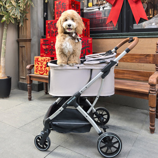 T5 Medium-Sized Pet Stroller Lightweight Dog Hand Push Cat Dog Outgoing One-Click Automatic Closing