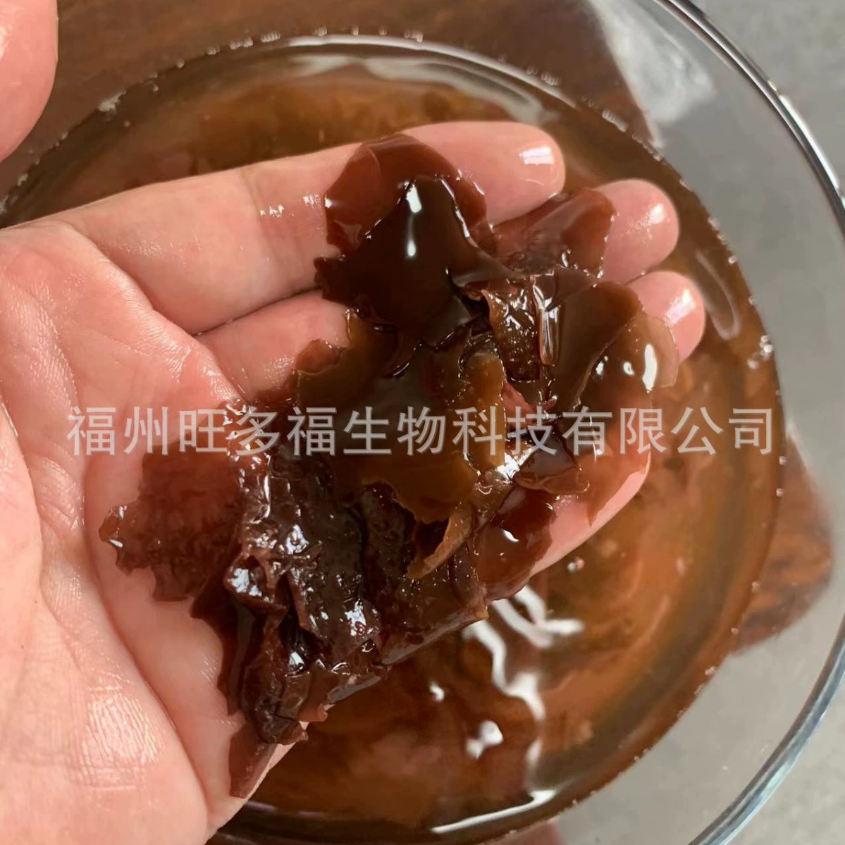 Морские овощи Фуцзянь Красные водоросли Фуцзянь Маленькие кусочки Сушеные продукты