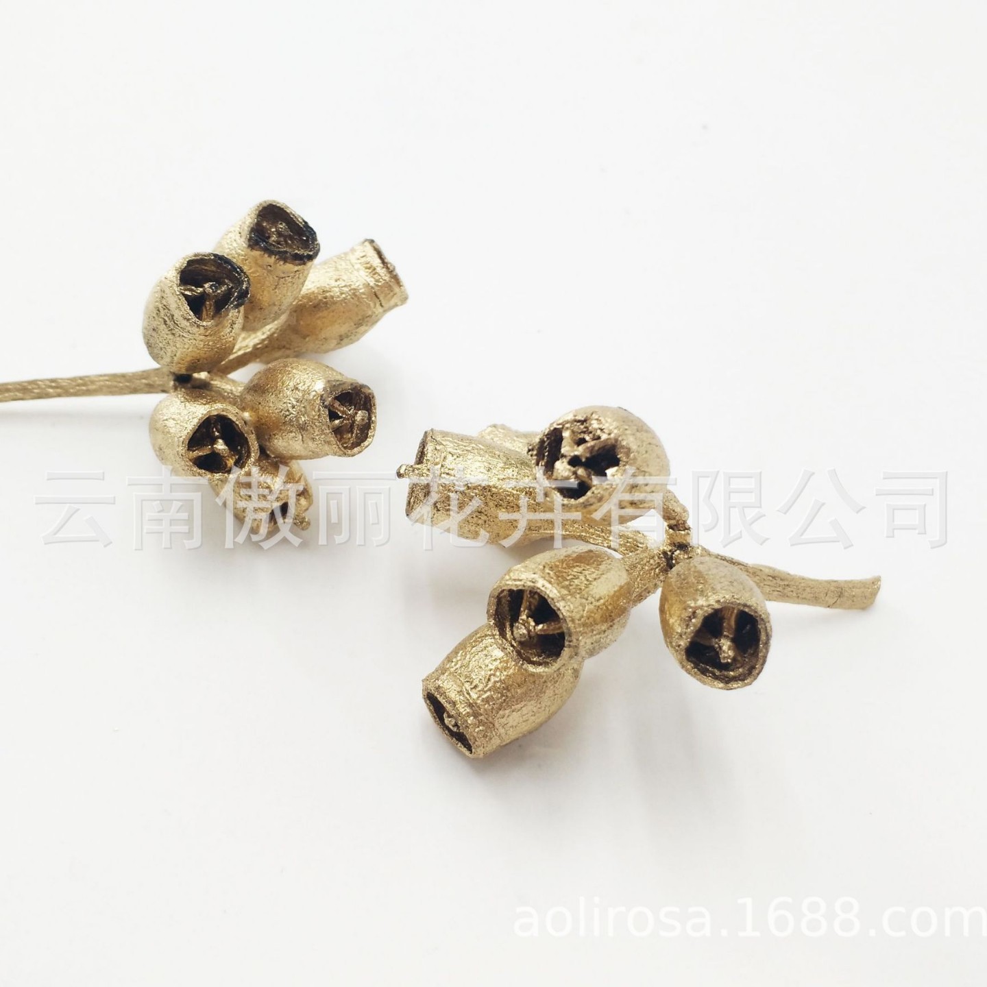 Yongsheng flor/pequeña fruta de eucalipto/Flor seca fresca Oficina decoración del hogar flor exportación calidad fábrica al por mayor