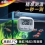 电子测温养鱼温度表水族箱