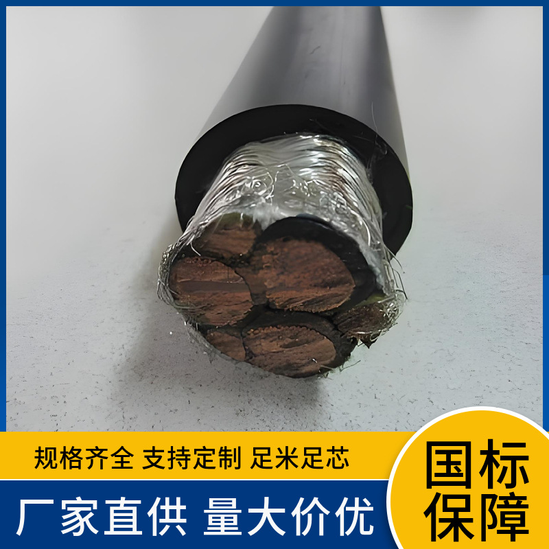 BPVVP BPVVP1 BPVVP2 3芯1 1.5 2.5 4 6 10 16 25 35平方变频电缆