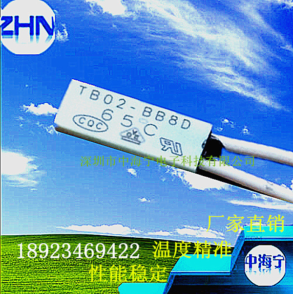 厂家直销TB02-BB8D温控开关厂家直供TB02-BB8D温控器电池保护器
