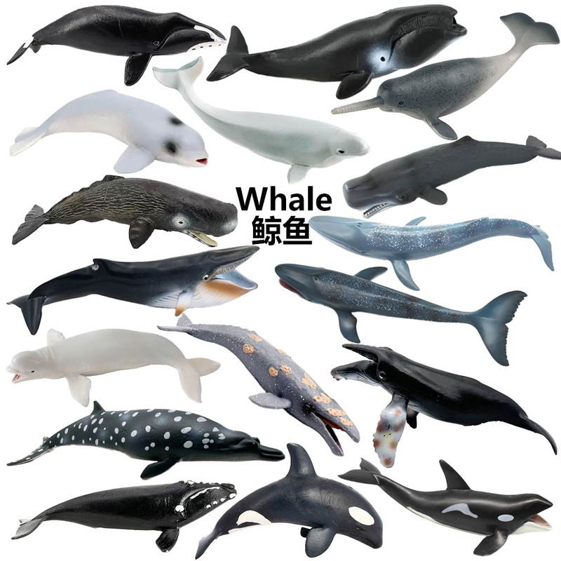 Cross-Border Realistic Marine Animal Models, Aquarium Souvenirs, Orcas, Beluga Whales, Sperm Whales, Humpback Whales, Bowhead Whales Cross-Border Realistic Marine Animal Models, Aquarium Souvenirs, Orcas, Beluga Whales, Sperm Whales, Humpback Whales, Bowhead Whales