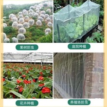 xW־WɏF{ݮ÷߲˻ܾGֲBxW