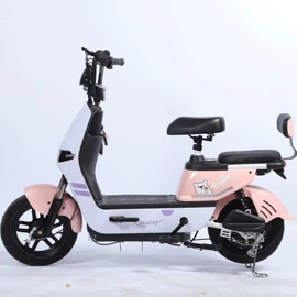 其他电动车;电动自行车;电动三轮车