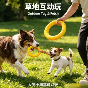 �羳��������Ӗ���w�PӖȮ���hȤζ�A�h�����hĥ����ҧ�␞�����h