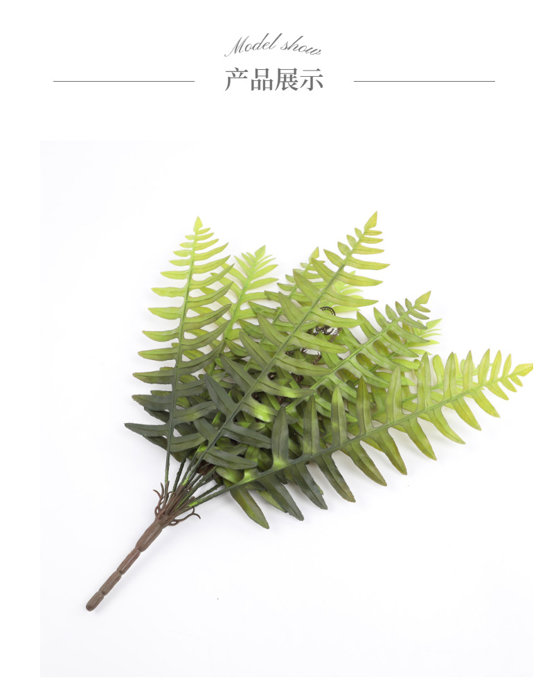 模特展示1 (5).jpg