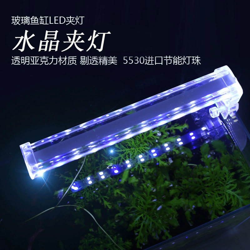 Аквариум, подводные LED-микросветильники