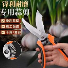 ���r�ô���A�[���ü����ɝ���U����횹��߼������^���[��������