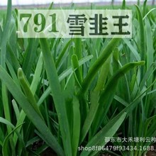 791ѩ���������ٳ���׸����²��߲�������̨��԰�ļ�����