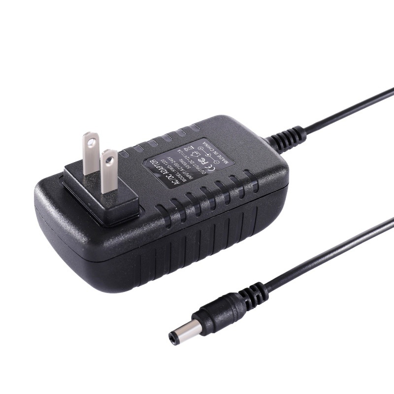 12V2A Power Adapter Monitoring Nail Lamp 24W Switching Power Supply 24V1A Power Adapter Custom Wholesale