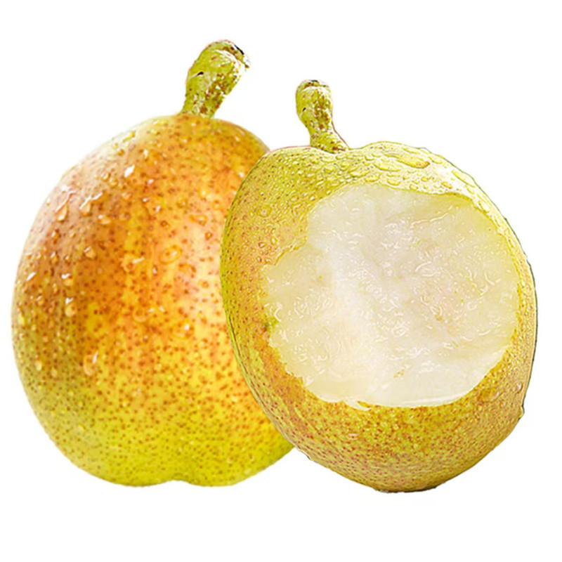 山西红香酥梨中果 480g~530g/盒*3份（仅成都地区）