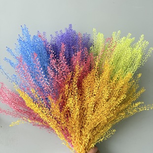 �����������G�}��diy�����ֻ��Ĵ��ȱ��r���������`�ݶ�ɫ�F؛