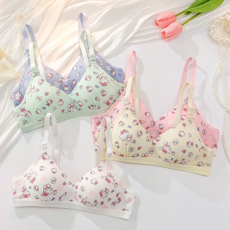 2025 Hot Style Sweet Style No-Wire Push-Up Bra Breathable Seamless Triangle Cup Small Breast Comfortable Push-Up Student Style 2025 Hot Style Sweet Style No-Wire Push-Up Bra Breathable Seamless Triangle Cup Small Breast Comfortable Push-Up Student Style