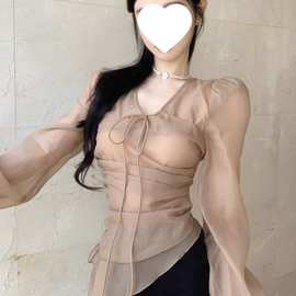 韩版V领长袖雪纺衫女秋季新款复古气质收腰显瘦休闲百搭网纱上衣