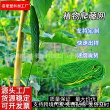 ���羳���������پW �����S��/����/���������֧�ܾW PE�ӏ���߅