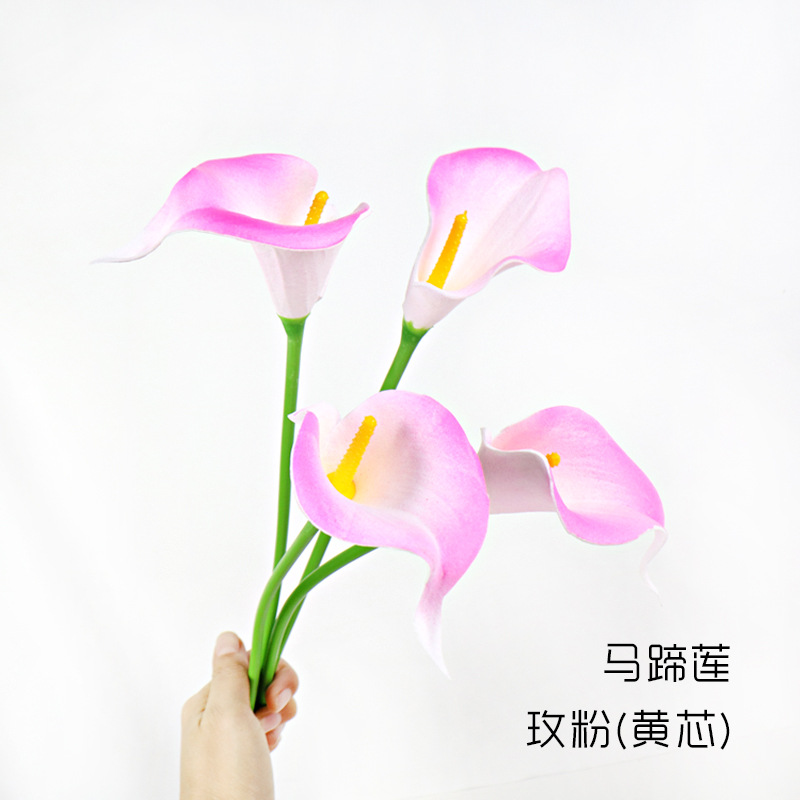 칼라 릴리-로즈 핑크(노란색 코어)