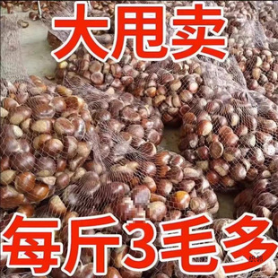 �����r�������r�ҬFժ��ë�����������w������