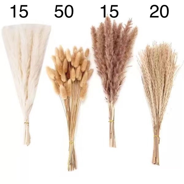 100 슈퍼 비용 효율적인