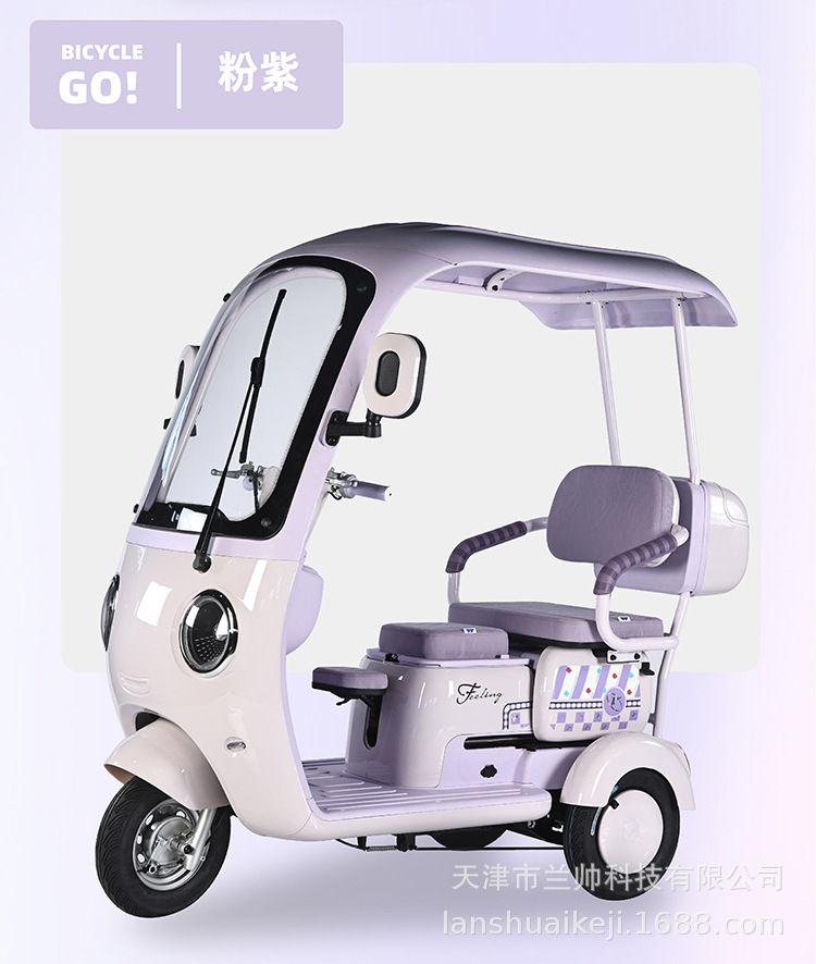 New National Standard Electric Leisure Tricycle Small Vehicle for Kids