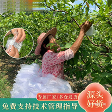 �W���Ř��״���ʯ����x��������ˮ�����o���Ӻ�һ�w���x�״�