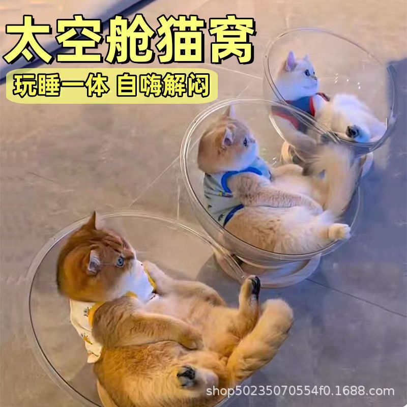 猫の自己楽しみおもちゃスペースカプセル夏アイスネスト猫スクラッチボードターンテーブル猫の巣オールインワンオールシーズン猫のおもちゃ|undefined