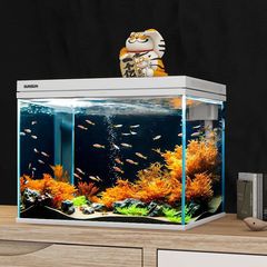 超白玻璃鱼缸客厅小型家用水族箱生态免换水过滤制氧金鱼缸亚马逊