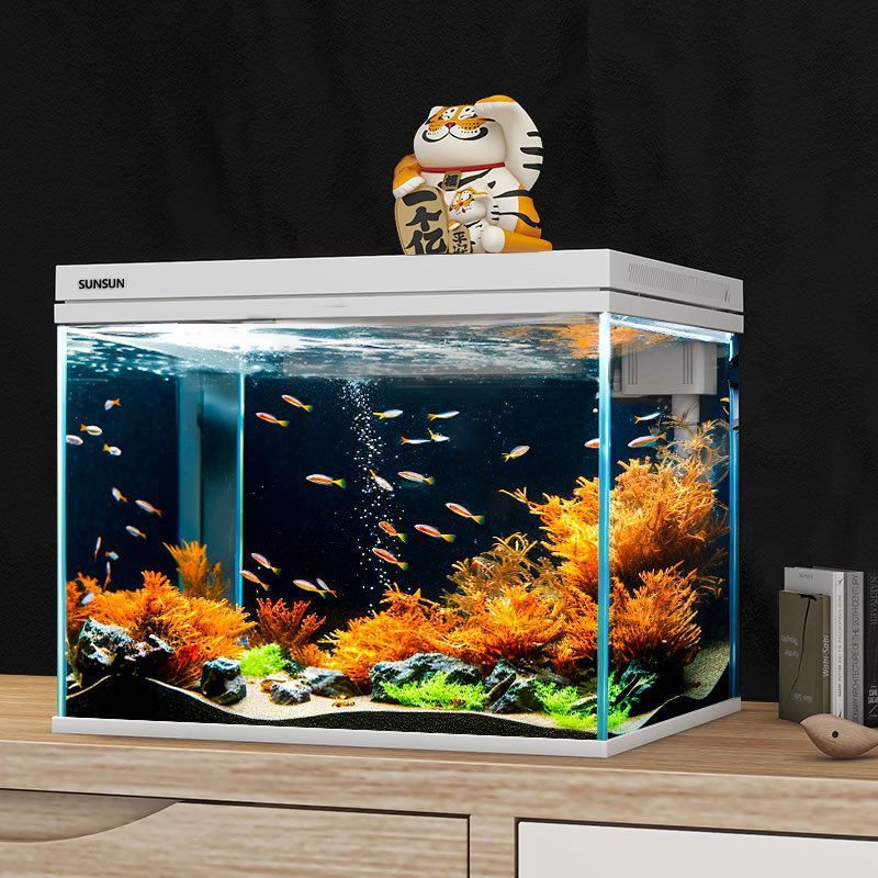超白玻璃鱼缸客厅小型家用水族箱生态免换水过滤制氧金鱼缸亚马逊|undefined