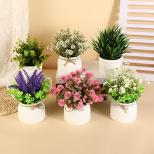 羳GֲK6׾Ƶ҃ϼٻС辰[