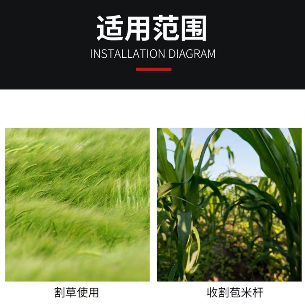 微信图片_20260330120806_276_28.jpg