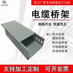 橋架メーカーのケーブルラック工場の現物耐火耐食屋外亜鉛メッキ明装防火橋架