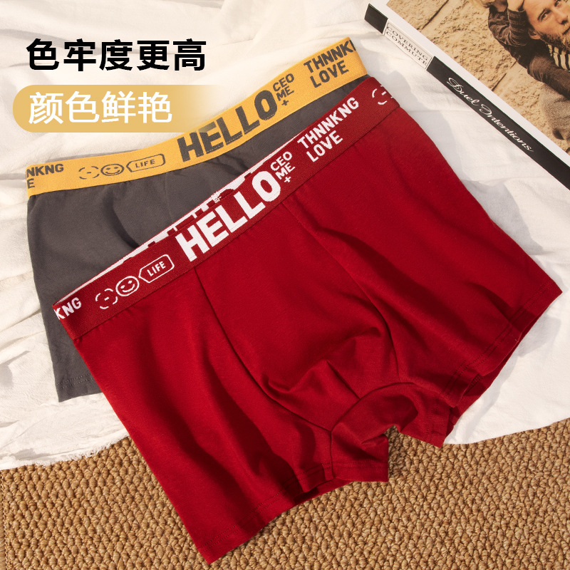 Pantalones de algodón de hombre de Xinjiang antibacterianas, pantalones de pierna plana de otoño y invierno transpirables, cintura media cómoda y suave, ropa interior deportiva de tendencia.