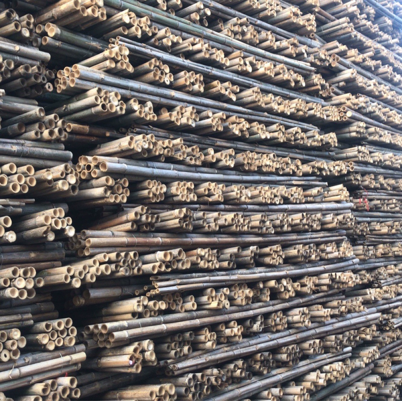 Бамбуковый столб опорный столб дерева столб ямс фрукты и овощи бамбуковый столб Пекин Тяньцзинь Хэбэй