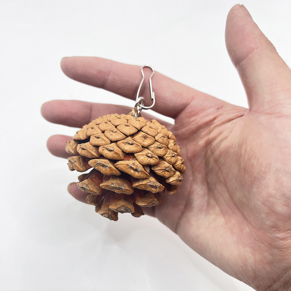 El juguete para morder de loro se puede colgar con piñas, mascota de pájaro, juguete de piñas navideñas, accesorios de decoración de jaulas para pájaros