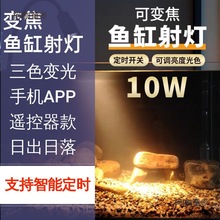 ׃~ןledˮȫVɫˮݶ~̫