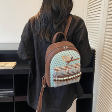 �羳2026�¿�ɐۺ����YŮ��С���������߼��������������p���