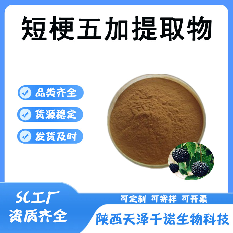 短梗五加提取物 10:1/20:1 短梗五加浸膏 水溶原料 喷雾干燥现货x