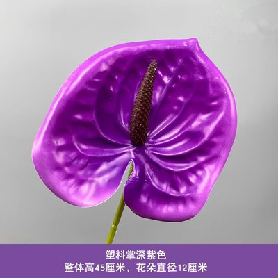 업그레이드 된 팜 다크 퍼플