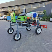 ʽׇșC СͲ݆șC {ʽU@Cе