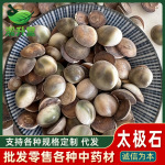 中药材批发太极石甲香水云母海月催生子海螺盖规格齐全一件代发
